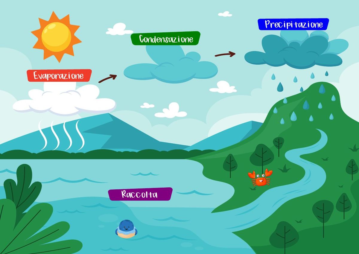 Lo schema del ciclo dell'acqua disegnato nell'album: evaporazione, condensazione, precipitazione e raccolta